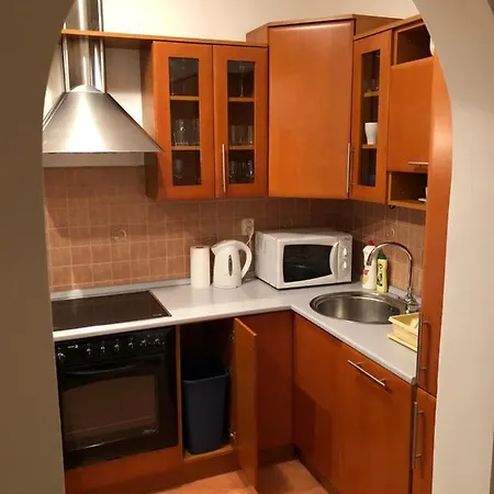 Spacious One-room In A Quiet Environment