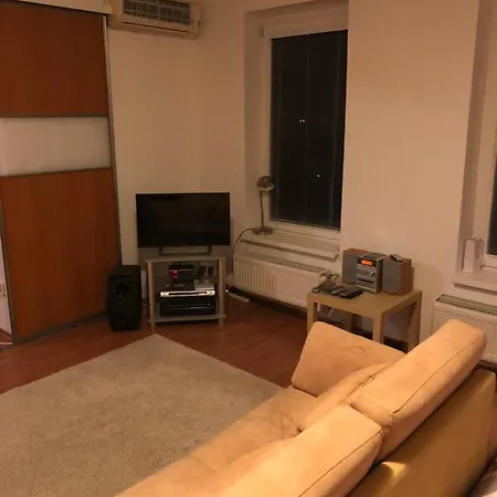 Spacious One-room In A Quiet Environment *